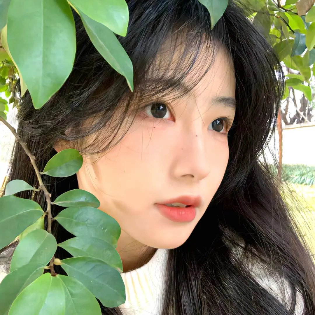 妖精琳琳的秘密