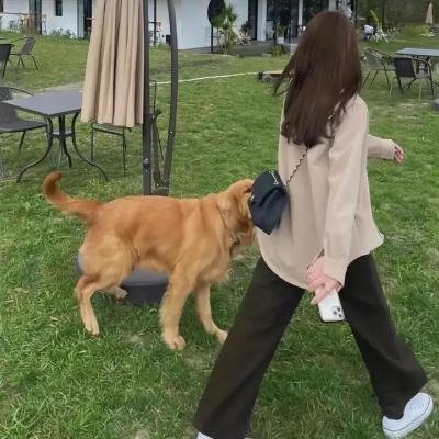 猛虎嗅蔷薇之盗亦有道